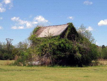 worcester-county-assateague-rd